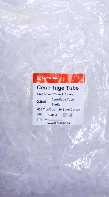 میکروتیوب ۲ میلی لیتر استریل ۵۰۰ عددی (Free from RNase&DNase)